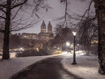 Pathway through Central park, New York - Wall Art - By Assaf Frank- Gallery Art Company