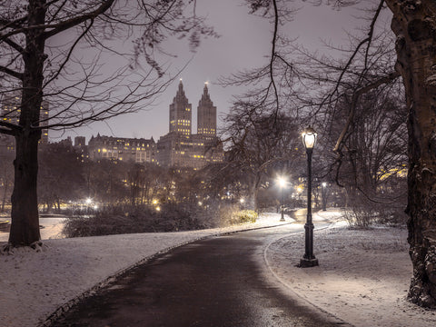 Pathway through Central park, New York - Wall Art - By Assaf Frank- Gallery Art Company