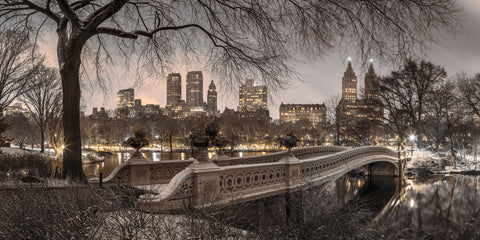 Central park with Manhattan skyline, New York - Wall Art - By Assaf Frank- Gallery Art Company