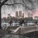 Central park with Manhattan skyline, New York - Wall Art - By Assaf Frank- Gallery Art Company