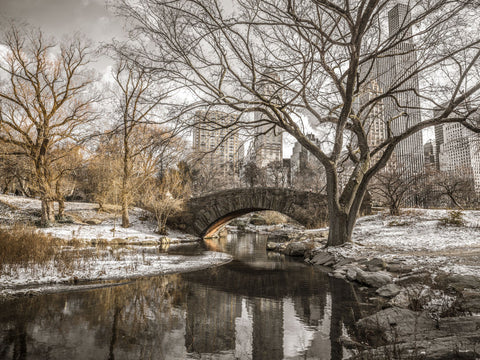Central park in New York - Wall Art - By Assaf Frank- Gallery Art Company