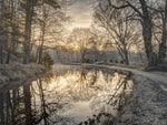 Canal in countryside with trees and pathway - Wall Art - By Assaf Frank- Gallery Art Company