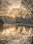Sunrise through trees over the canal - Wall Art - By Assaf Frank- Gallery Art Company