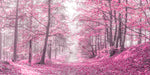 Pathway through Autumn forest - Wall Art - By Assaf Frank- Gallery Art Company