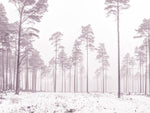Snowy forest in winter - Wall Art - By Assaf Frank- Gallery Art Company
