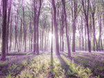 Bluebells - Wall Art - By Assaf Frank- Gallery Art Company