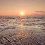 Sunset on the beach - Wall Art - By Assaf Frank- Gallery Art Company