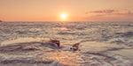 Sunset on the beach - Wall Art - By Assaf Frank- Gallery Art Company