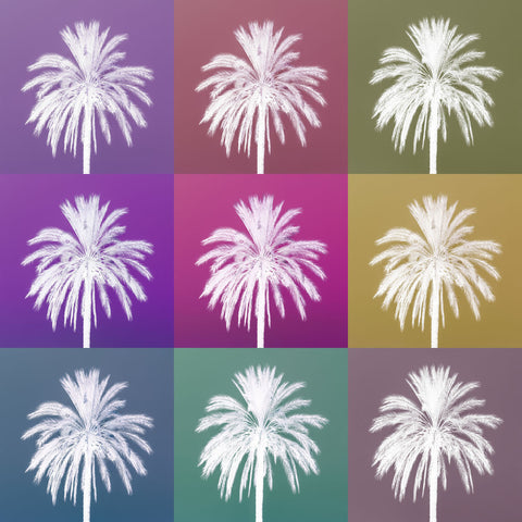 Collage of Palm tree - Wall Art - By Assaf Frank- Gallery Art Company