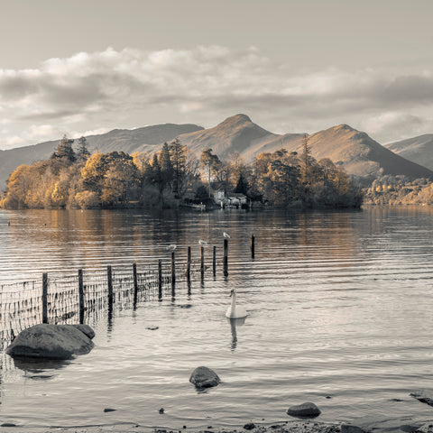 Morning at Derwent island, Derwentwater - Wall Art - By Assaf Frank- Gallery Art Company