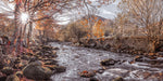 Stream at the lake district - Wall Art - By Assaf Frank- Gallery Art Company