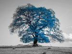 Tree on a hill, blue - Wall Art - By Assaf Frank- Gallery Art Company