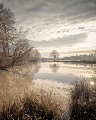 Lake sunrise - Wall Art - By Assaf Frank- Gallery Art Company