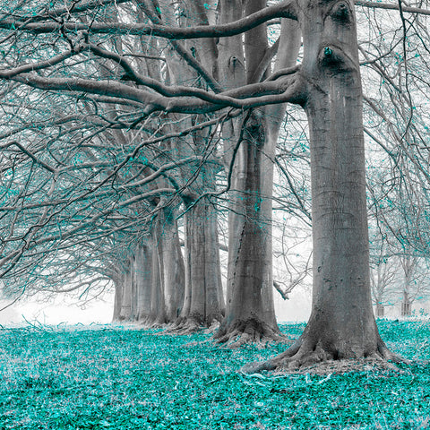 Trees in a row - Teal - Wall Art - By Assaf Frank- Gallery Art Company