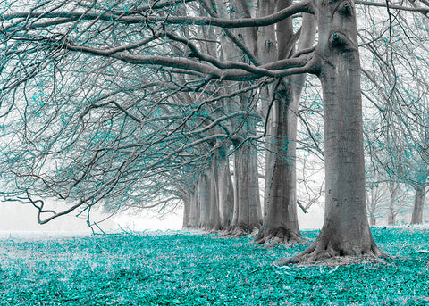 Trees in a row - Teal - Wall Art - By Assaf Frank- Gallery Art Company