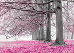 Trees in a row - Pink - Wall Art - By Assaf Frank- Gallery Art Company