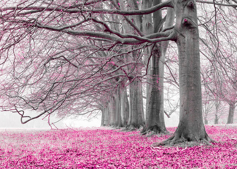 Trees in a row - Pink - Wall Art - By Assaf Frank- Gallery Art Company
