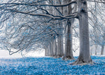 Trees in a row - Blue - Wall Art - By Assaf Frank- Gallery Art Company