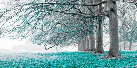 Trees in a row - Teal - Wall Art - By Assaf Frank- Gallery Art Company
