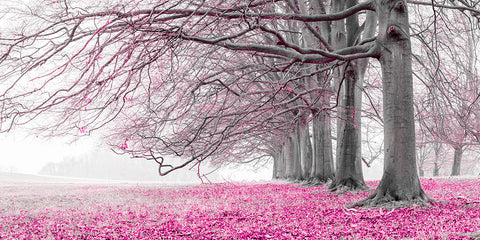 Trees in a row - Pink - Wall Art - By Assaf Frank- Gallery Art Company