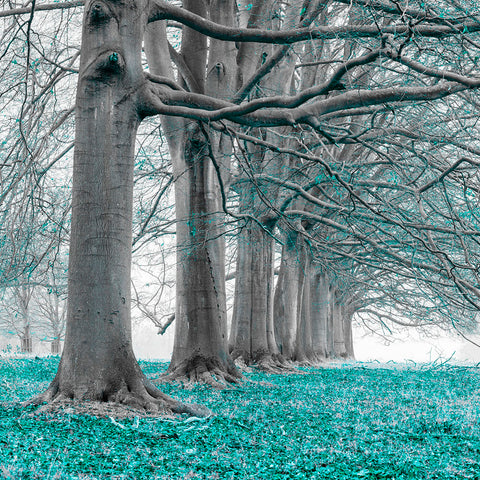 Trees in a row - Teal - Wall Art - By Assaf Frank- Gallery Art Company