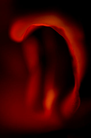 Abstract-IX - Wall Art - By Jorgen-Brandt- Gallery Art Company
