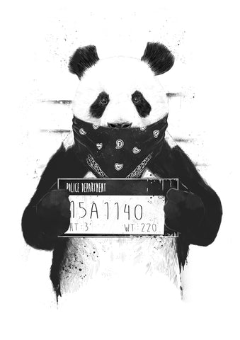 Bad Panda - Wall Art - By Balázs Solti- Gallery Art Company