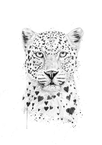 Lovely Leopard - Wall Art - By Balázs Solti- Gallery Art Company