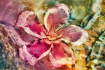 Flower - Wall Art - By burcukilicerart- Gallery Art Company