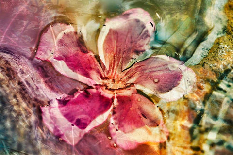 Flower - Wall Art - By burcukilicerart- Gallery Art Company