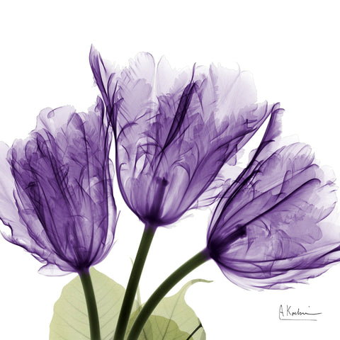 Flowers in Purple I - Wall Art - By Koetsier, Albert- Gallery Art Company