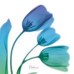 Tulips Turquoise I - Wall Art - By Koetsier, Albert- Gallery Art Company