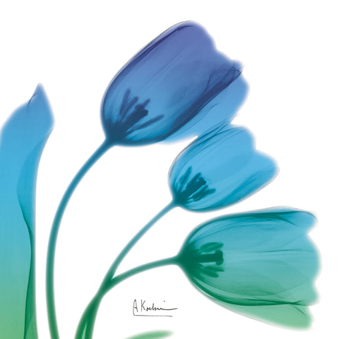 Tulips Turquoise I - Wall Art - By Koetsier, Albert- Gallery Art Company