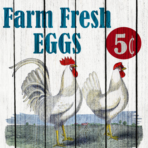 Farm Fresh 1 - Wall Art - By Allen, Kimberley- Gallery Art Company
