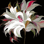 Lily XX - Wall Art - By Scaffardi, Sally- Gallery Art Company