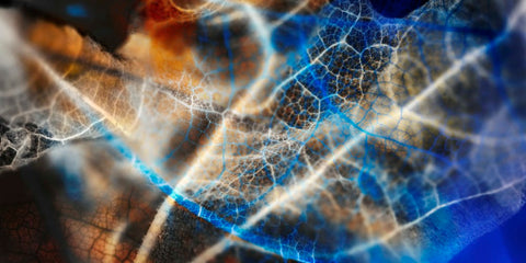 Mind - Wall Art - By burcukilicerart- Gallery Art Company