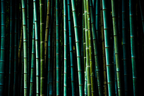 undefined - Wall Art - By Jorgen Brandt- Gallery Art Company