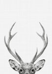 Deer Portrait Print - Wall Art - By Vivid Atelier- Gallery Art Company