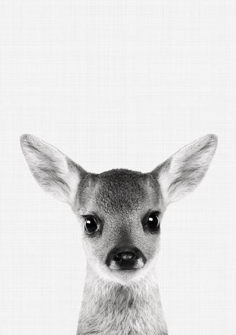 Fawn Portrait Print - Wall Art - By Vivid Atelier- Gallery Art Company