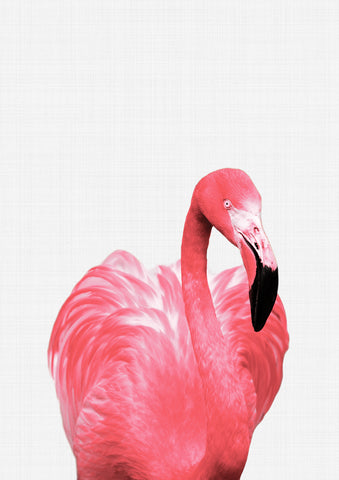 Flamingo Portrait Print - Wall Art - By Vivid Atelier- Gallery Art Company