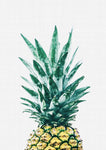 Pineapple II Print - Wall Art - By Vivid Atelier- Gallery Art Company