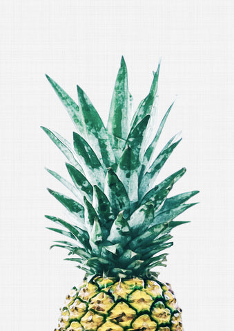 Pineapple II Print - Wall Art - By Vivid Atelier- Gallery Art Company