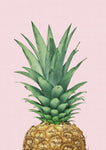 Pineapple II Print - Wall Art - By Vivid Atelier- Gallery Art Company