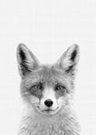 Fox B&W - Wall Art - By Vivid Atelier- Gallery Art Company