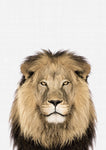 Lion Portrait Print B&W - Wall Art - By Vivid Atelier- Gallery Art Company