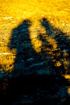 Self-Portrait - Wall Art - By Jorgen-Brandt- Gallery Art Company